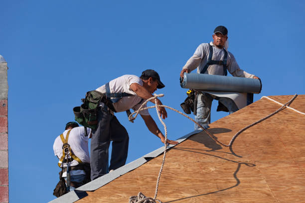Best Roof Waterproofing Services  in Richmond, IL